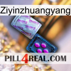 Ziyinzhuangyang 37